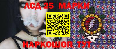 a pvp Свободный
