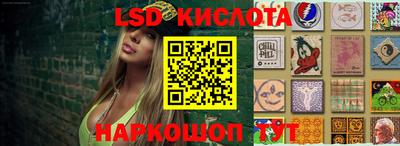 a pvp Свободный