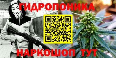 a pvp Свободный