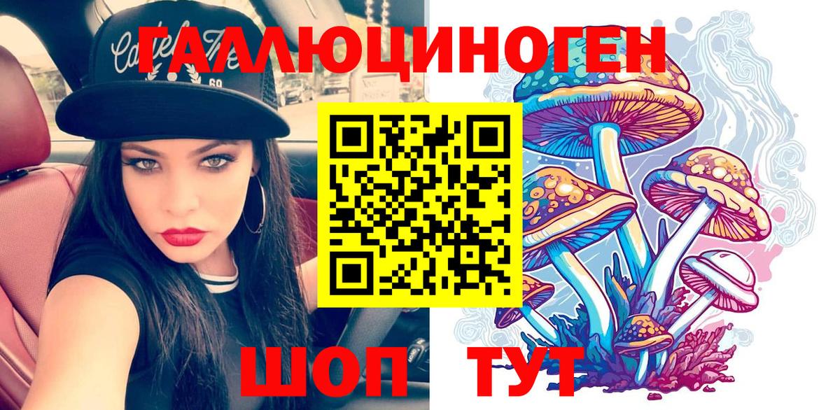продажа наркотиков  Вход с VPN  Новочеркасск  Псилоцибиновые грибы Psilocybe 