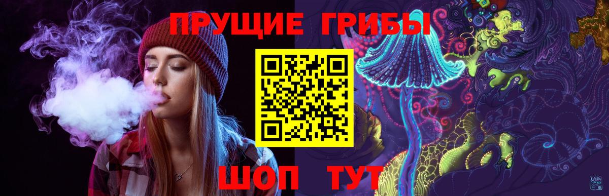 Псилоцибиновые грибы Cubensis Новочеркасск